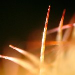 gommadacancellare_sfondo_01